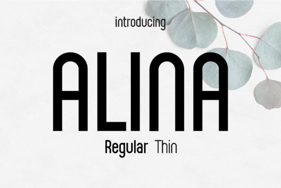 Alina: A Clean Sans Serif Font for Clear Campaign Messaging