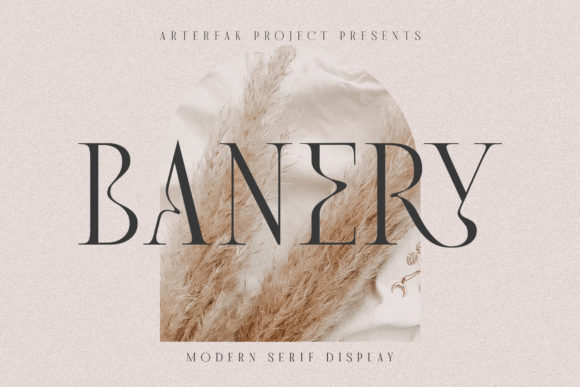 Banery: A Modern Serif Font for Small Business Branding