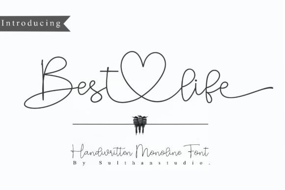 Best Life Font: A Stylish Script Handwritten Typeface for Elegant Branding