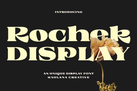 Rochek Display Font for Editorial Impact